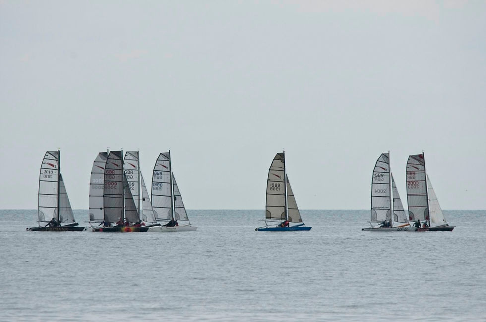 Shearwater_TT_Minnis_Bay_2016_05_3174.jp