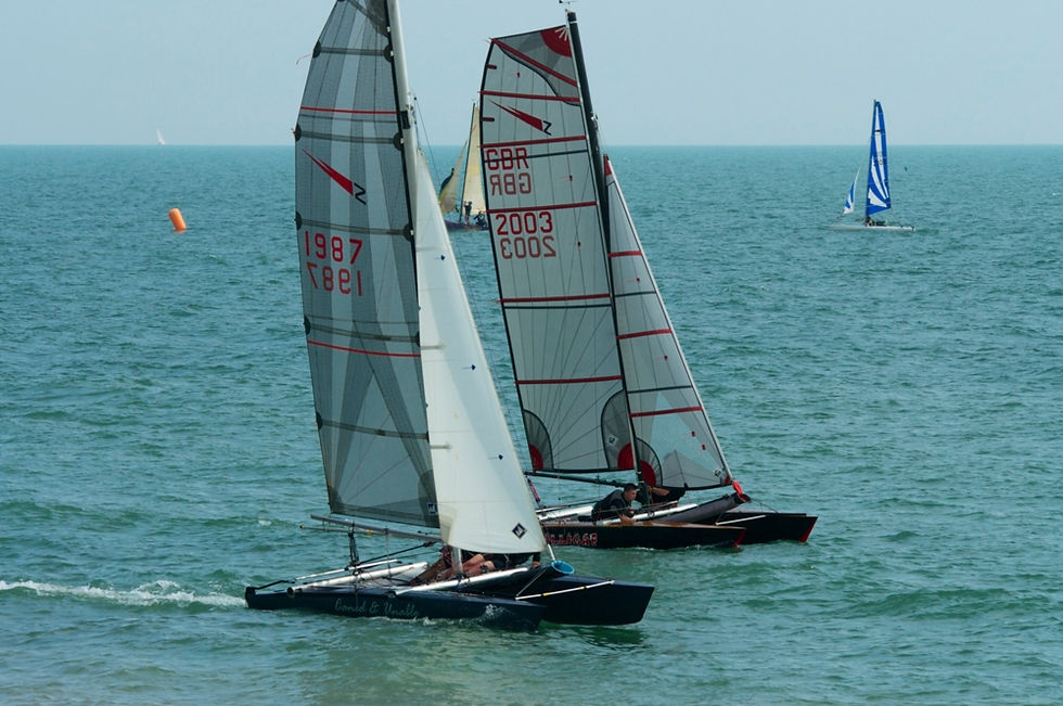 Shearwaters_Hastings_TT_2014_07_9257.jpg