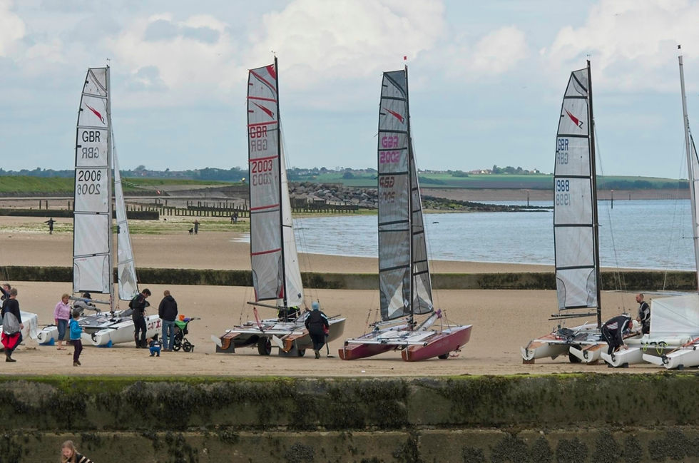 Shearwater_TT_Minnis_Bay_2016_05_3151.jp