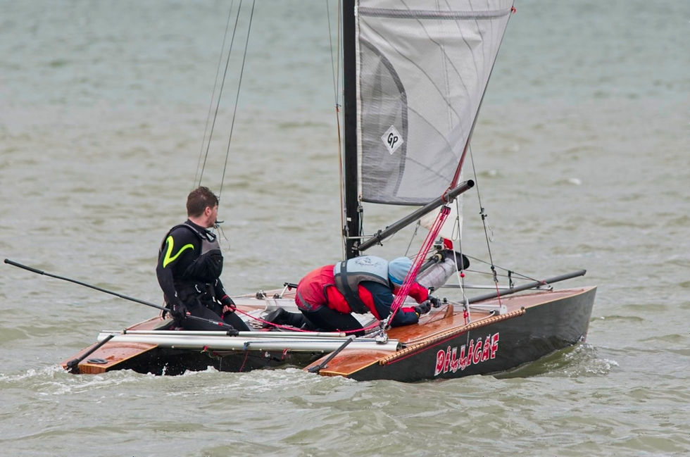 Shearwater_TT_Minnis_Bay_2016_05_3131.jp