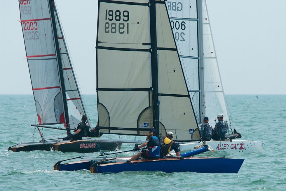 Shearwaters_Hastings_TT_2014_07_9229.jpg