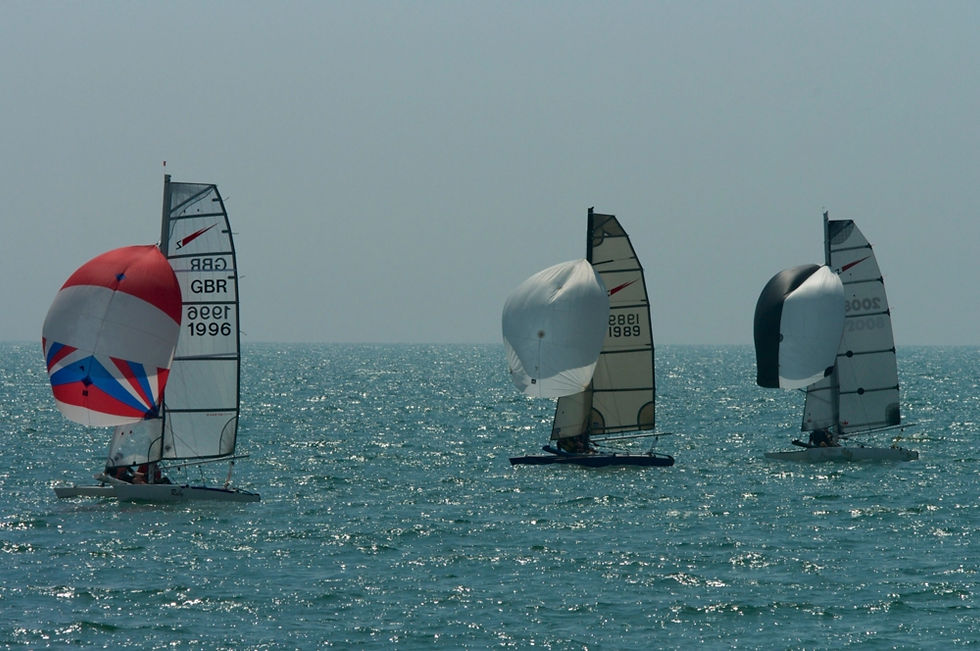 Shearwaters_Hastings_TT_2014_07_9239.jpg
