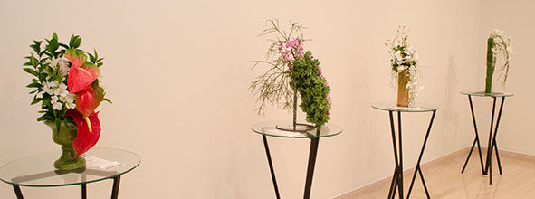 2018_09_22_Flower_Show (102)