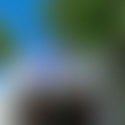 Closed Queens Birthday ( Monday 5th October)