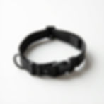 Padded Comfort Collar