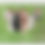 Thumbnail: Calendar 2025