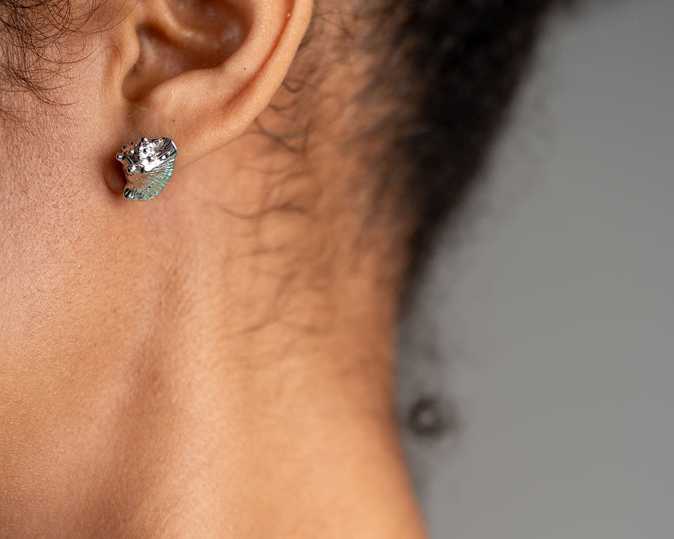 Thumbnail: Toggle Conch Shell Necklace