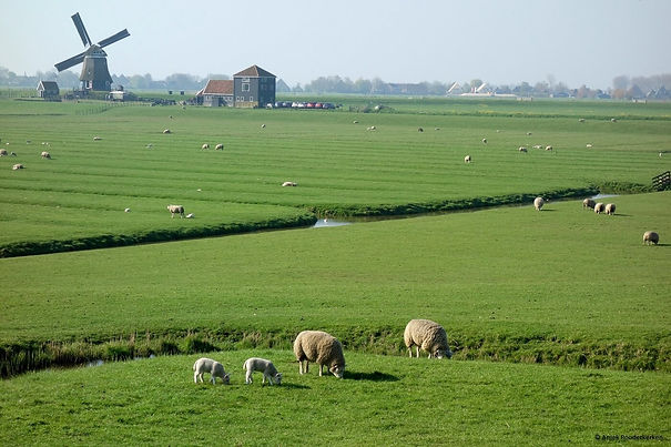 UNESCO-De-Beemster-Laag-Holland-2.jpg