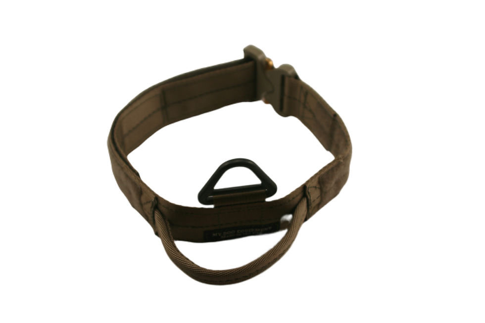 Thumbnail: Nylon Collar w/ Cobra Buckle and handle