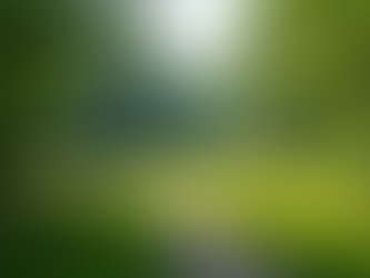 Discover Local Events in Big Spring, Texas