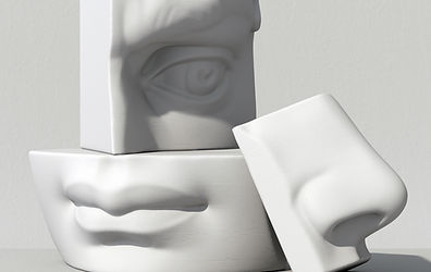 Logo nxtskin website