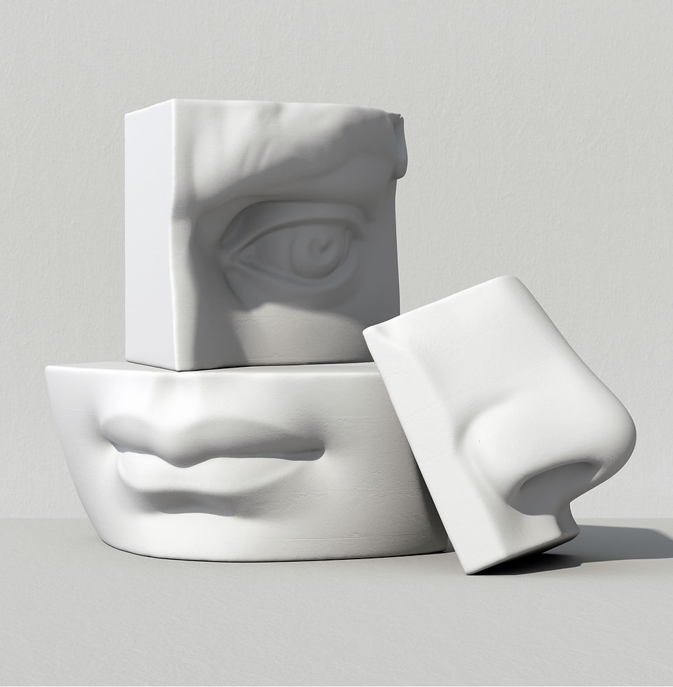 Partes de la cara en 3D