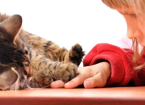 child-and-cat-playing cat photo.jpg