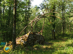 j-Vague-Est-Ouest-CompleteProfilLeftSide1-030716-BD1