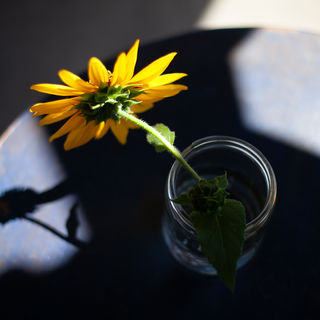 More Wise Words on Rest 