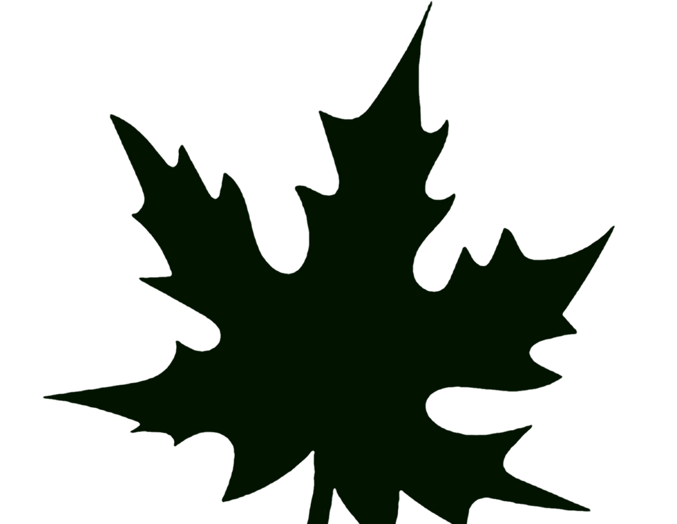 leaf4.png