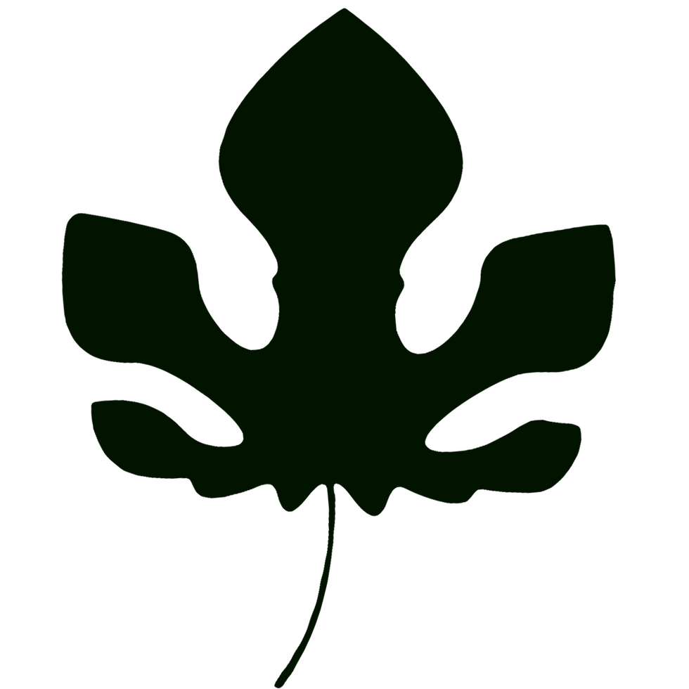 leaf8.png