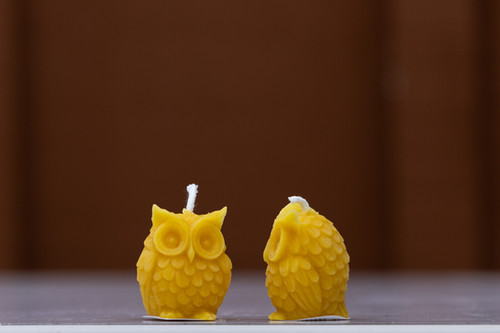 Owl Candles, Small and Large | Cape Chin Micro Farm