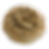 Everything bagel