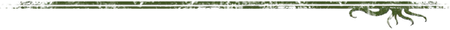 Top_Divider_edited.png