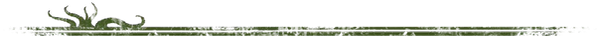 Top_Divider.png