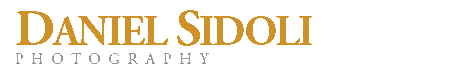 web-header.gif