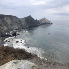 IMG_1528.jpeg