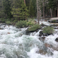 IMG_0758.jpeg