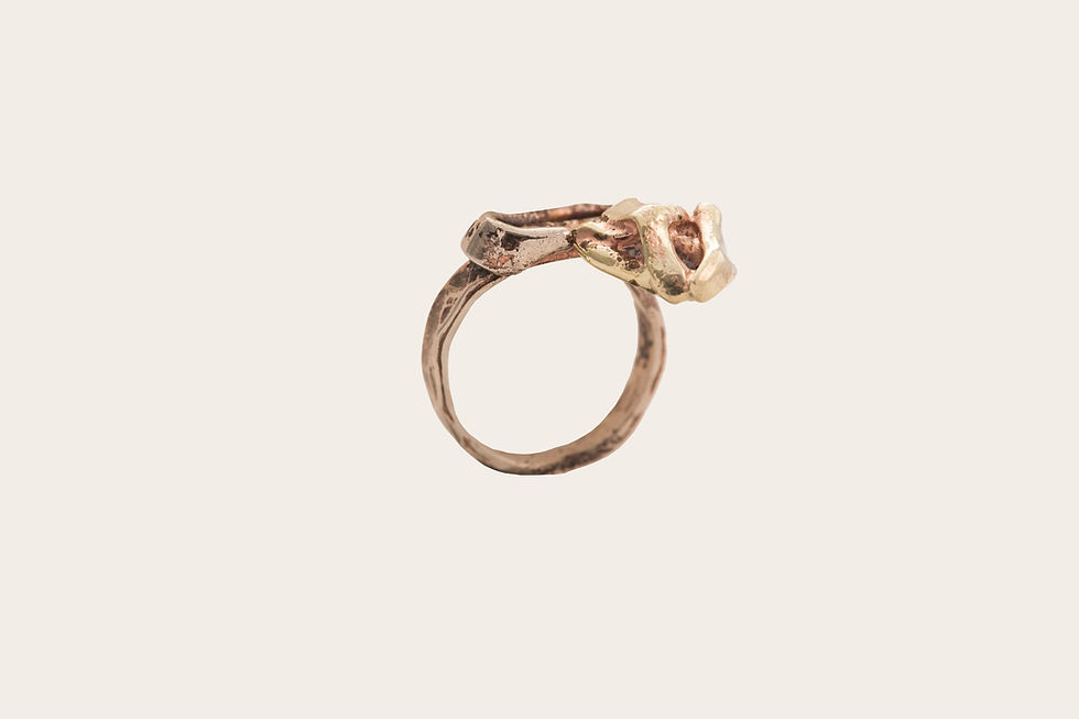Thumbnail: Rosehip Ring