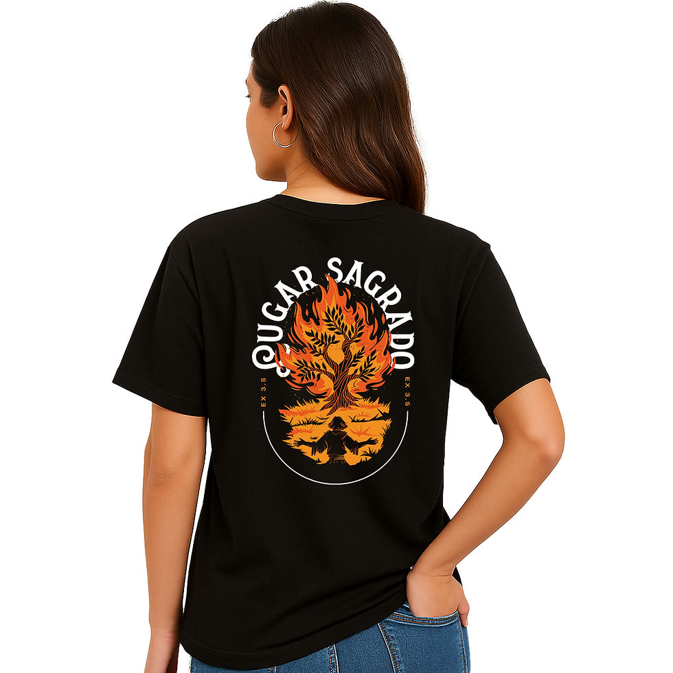 Miniatura: Camiseta Lugar Sagrado Terra Santa