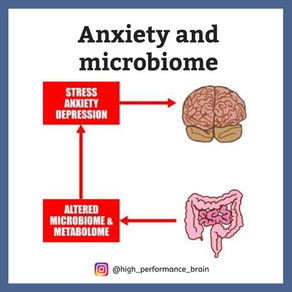 Anxiety and microbiome
