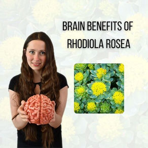 Rhodiola