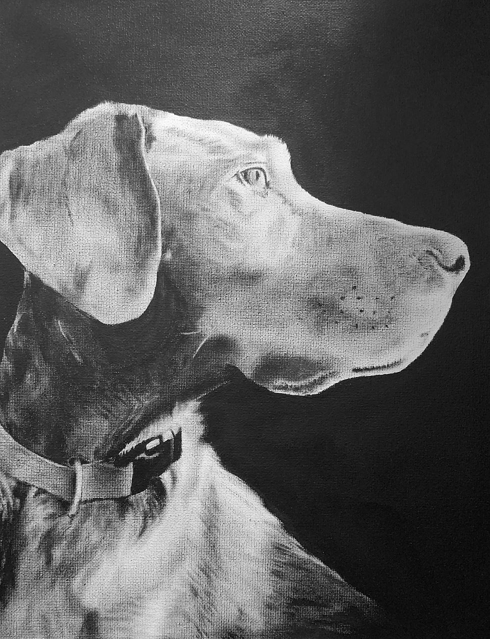 Thumbnail: Gift Certificate for Acrylic Pet Portrait (b/w)