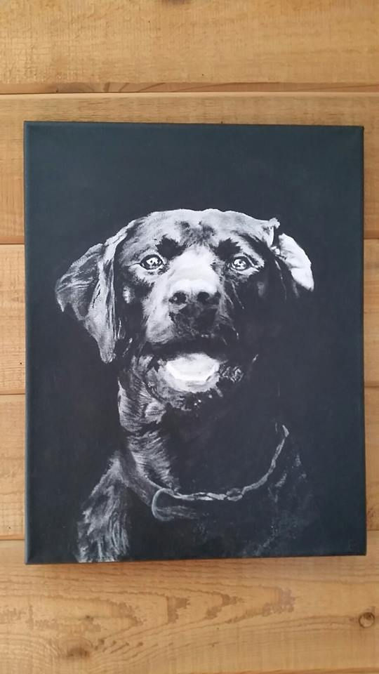 Thumbnail: Gift Certificate for Acrylic Pet Portrait (b/w)