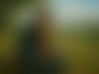 Psalm 1:1-2 - Delighting in the Word of God