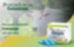 WEBSITE FRONT PICTURE.jpg