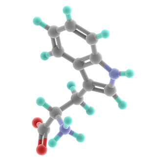 tryptophan.jpg