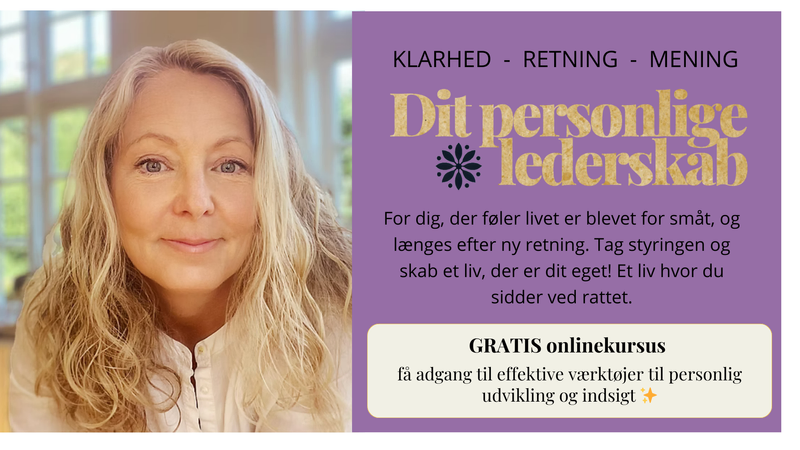 Livskompas, få mere retning, klarhed of formål i dit liv via dit personlige lederskab