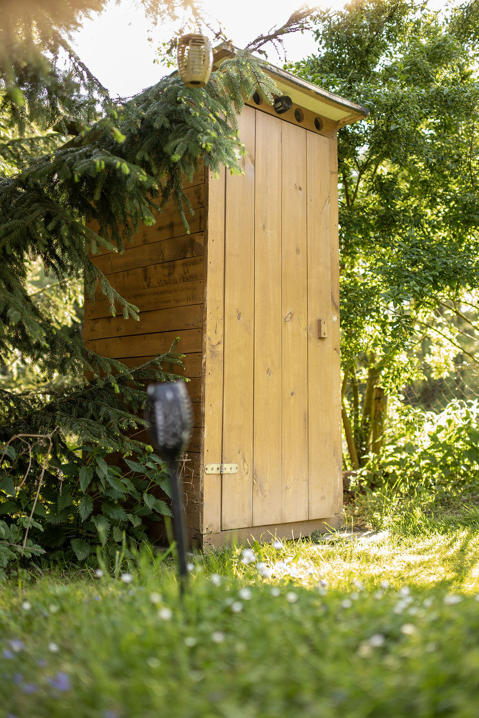 DSC_9501 kopie.jpg