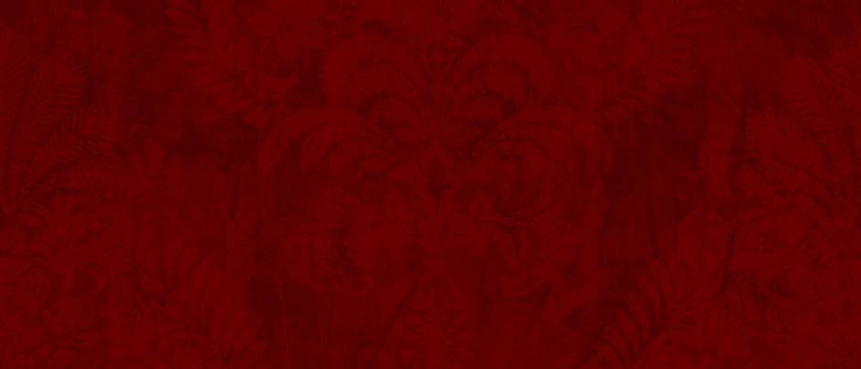 shakti-bg-3.jpg