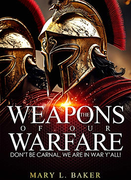 warfare book