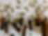pexels-tara-winstead-6694187-scaled.jpg