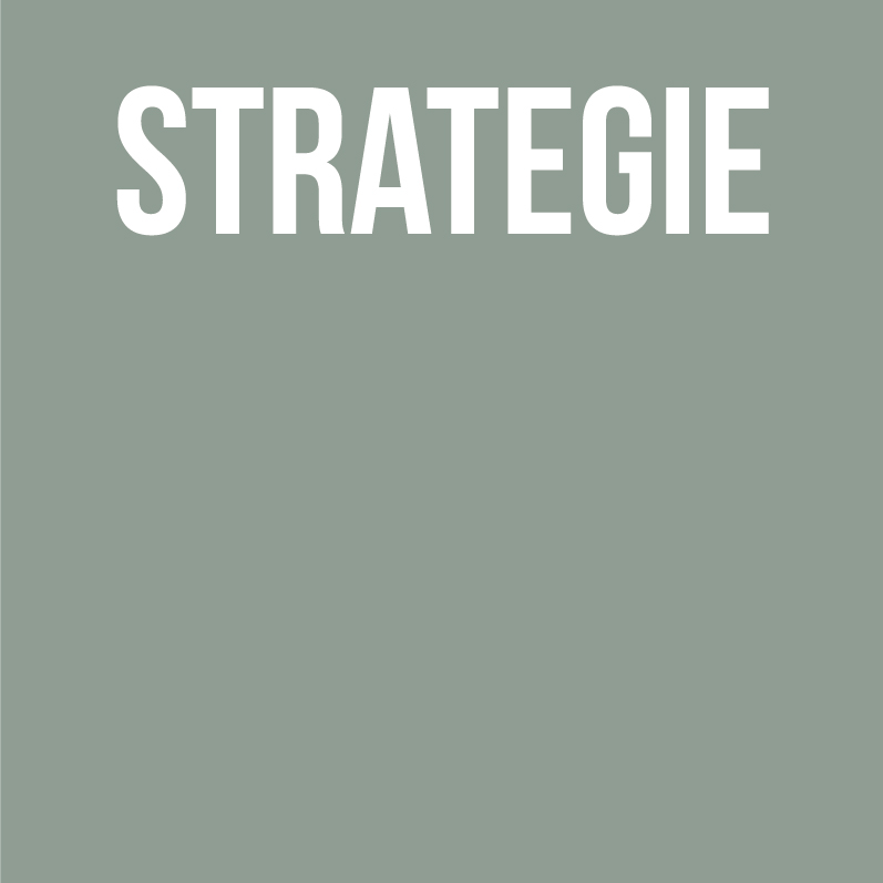 strategie concept design uitwerking