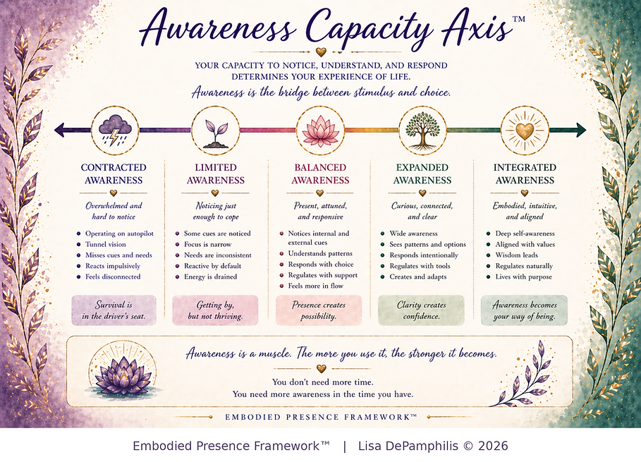 Awareness Capacity Axis model