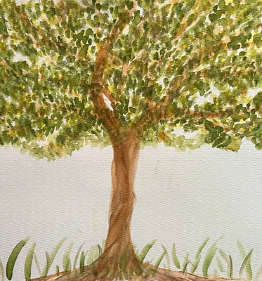 Rooted.jpeg