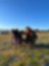 IMG_0934.jpeg