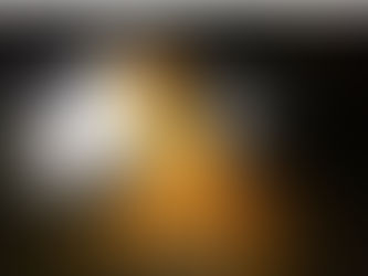 Suspeitos são presos com 4 toneladas de laranjas