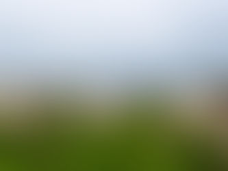 Indea e Idaron discutem estratégias para zona livre da vacinação contra aftosa