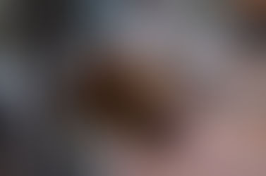 Why Do Dogs Growl And Is It ALWAYS Bad?