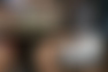 Dog-Friendly Restaurants In Bel Air, Maryland